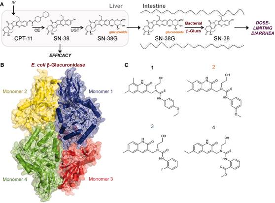1501220437157230.jpg 12.jpg