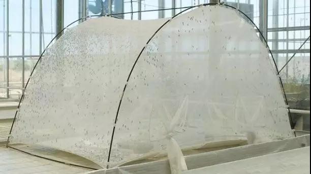 1507795175794780.jpg 微信图片_20171012160035.jpg