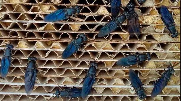 1507795196163752.jpg 微信图片_20171012160031.jpg