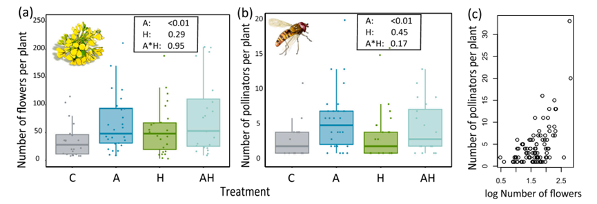 1670209617514603.png image.png