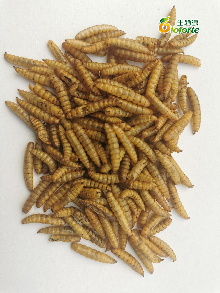 1676884492828098.png image.png