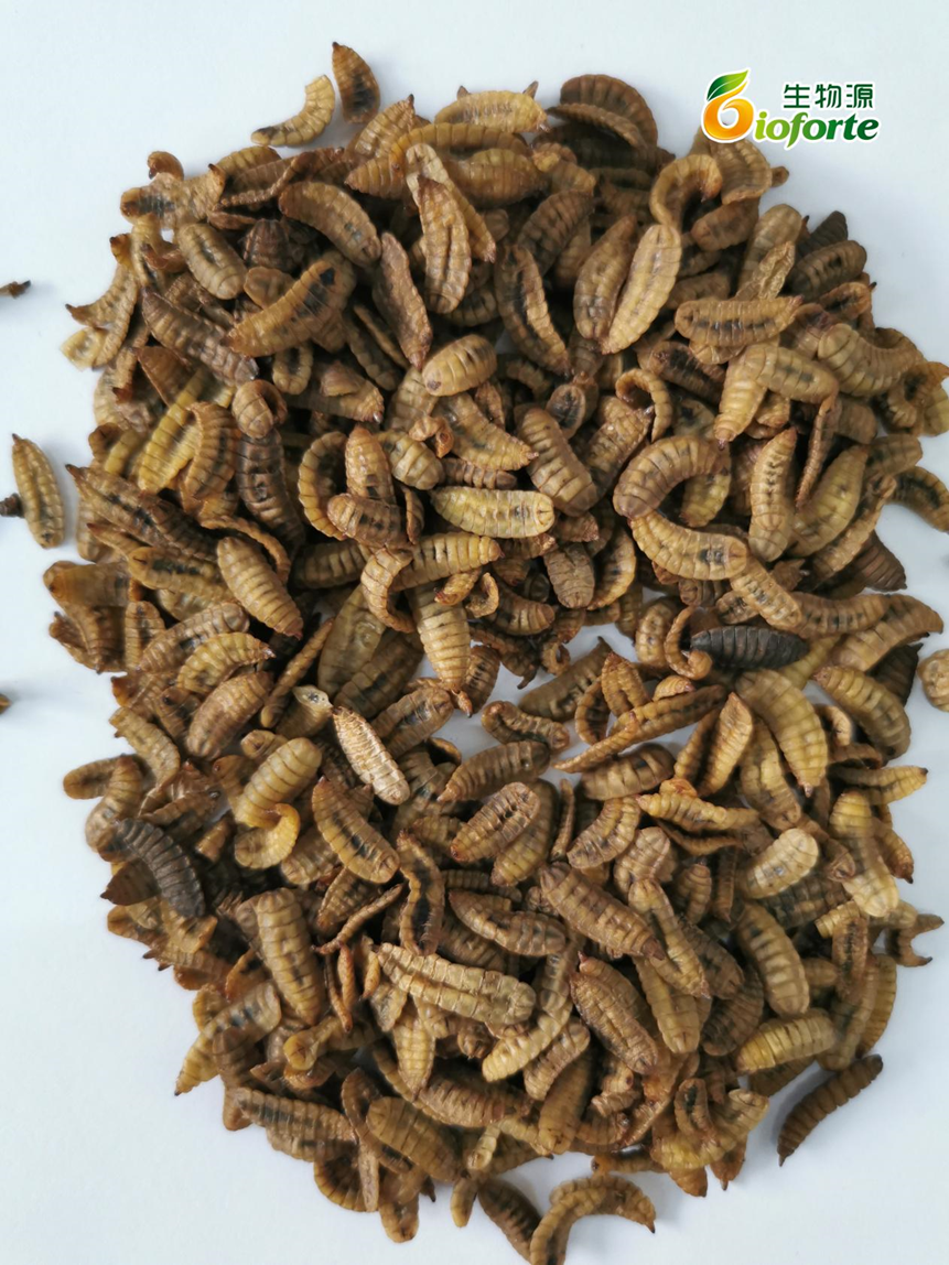 1676884507130662.png image.png