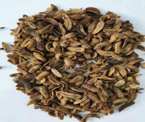 1686800242722119.png image.png