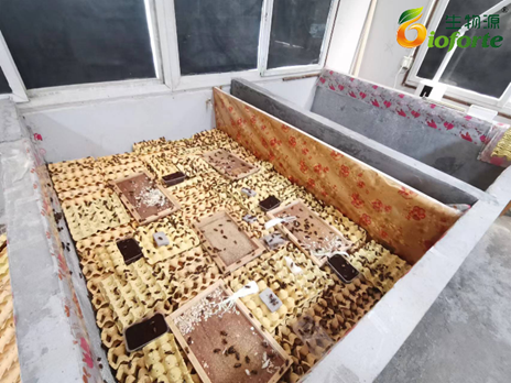 1696554349661552.png image.png