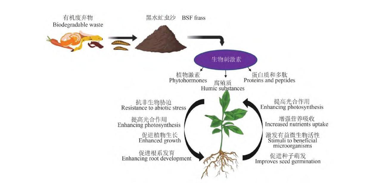 1722325817528896.jpg 1722325809916.jpg