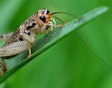 1727656496517266.png 1.png