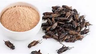 1727666078749531.jpg 2.jpg